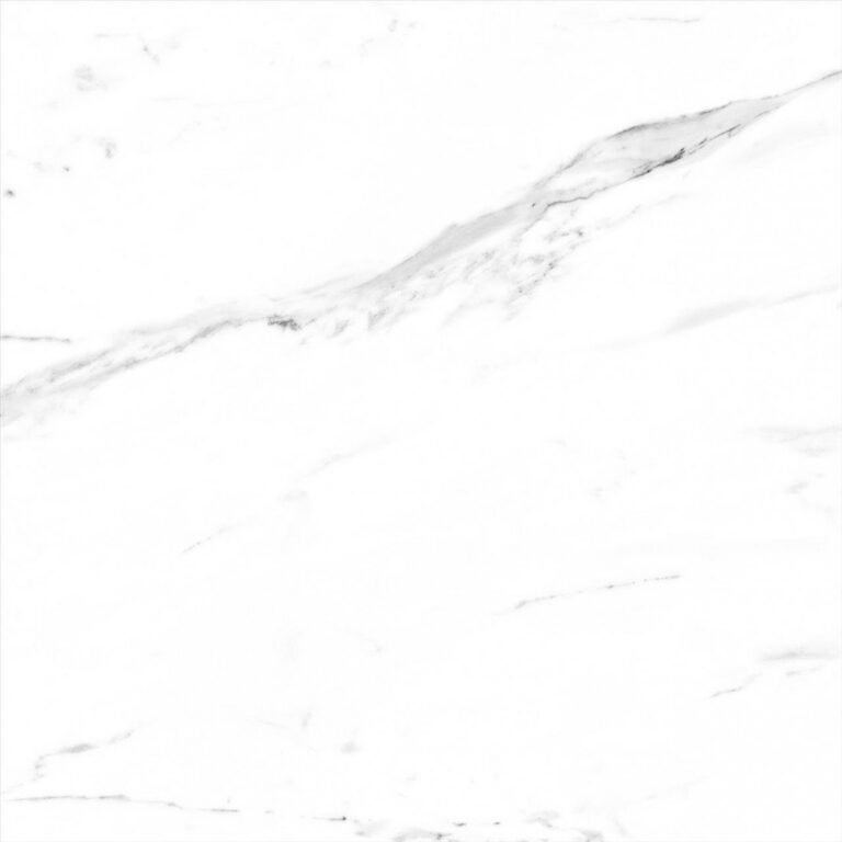 ALBUR GRIS 60,8 × 60,8