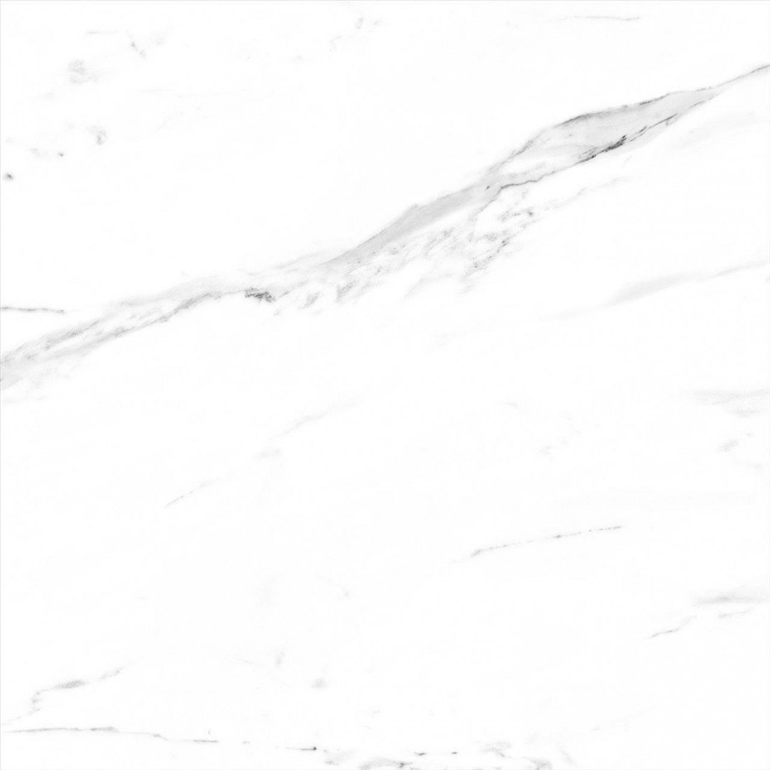 ALBUR GRIS 60,8 × 60,8
