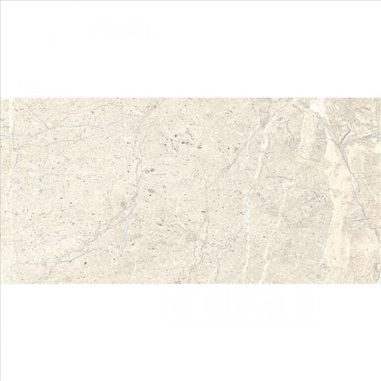 ANTHOLOGY . 60X120