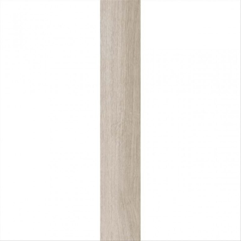 ASPEN BG 20X120 9937