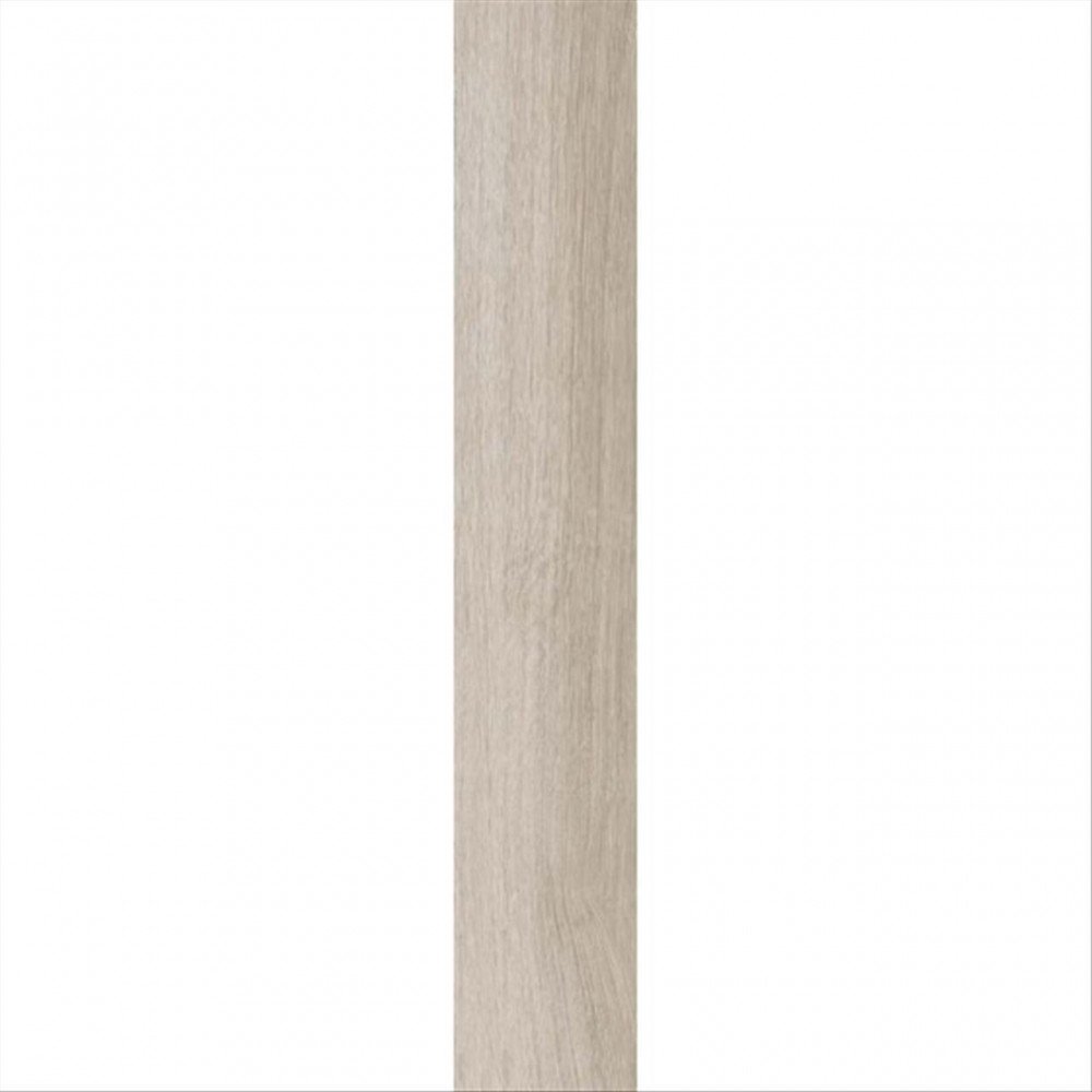 ASPEN BG 20X120 9937